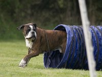 Aaron1  Guckguck.... ;o)