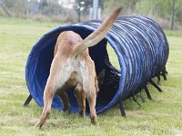 Amica4  ....jepp....kann man durch laufen...