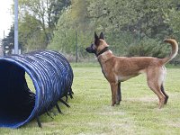 Amica5  ...ey...isch will nochma tunneln!