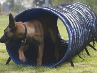 Amica7  ...hehe... geht doch