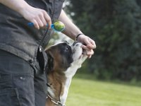 Atze2  SO hält man das 'Ei richtig