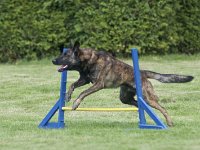 Danko1  Danko........grad so drübba