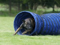 Danko2  Äkschen... hehe