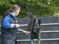 Danko3  Du da....Ei hier