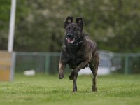 Danko6  ...man sieht, es ostert...