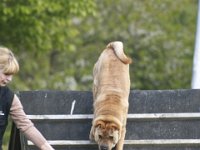 Howie1  DA runter....