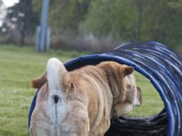 Howie2  ich soll doch nicht etwa da durch?