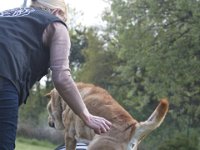 Howie4  geht doch auch rübba!