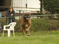 Jenky  ....ich sag jetzt mal nix... *lol*