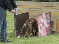 Luna4  mmmmh....Lekkerlis!!!