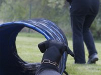 Mell2  durch soll ich?