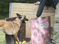 Paula2  ....wie, ich soll die Wurst essen...