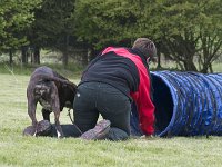 Penny3  ...was guckt Frauchen da?