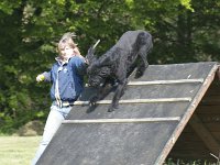 Tinka1  ......Laufwind...