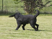 Tinka2  ...vom Winde verweht