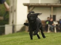 Tinka8  es flattert....