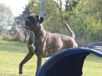 Tray2  ey...was guckst Du?