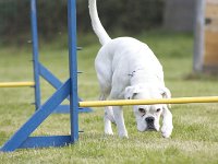 Umbra1  da soll ich drunter durch???????