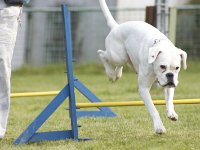 Umbra2  ...besser drüber!