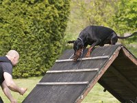 Yamal1  ...es könnte Yamal über die Wand drüber....