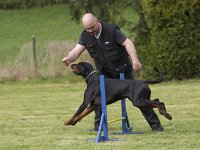 Yamal2  ....elegant...