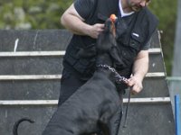 Yamal7  ...nu rück endlich das Ei raus!!!