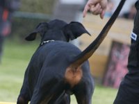 Yamal8  ...RocknRoll...