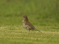 Zuschauer1  ....ein Zuschauer